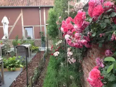 Restaurant Vous lé Vous - 19