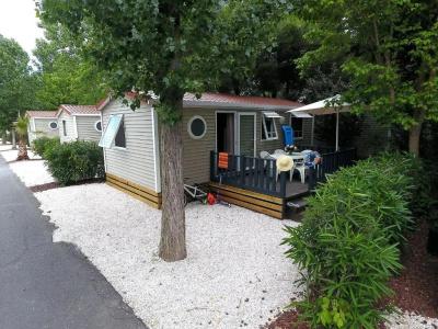 Camping les Champs Blancs - 53