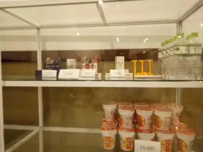 Tan Hoang Gia - 10