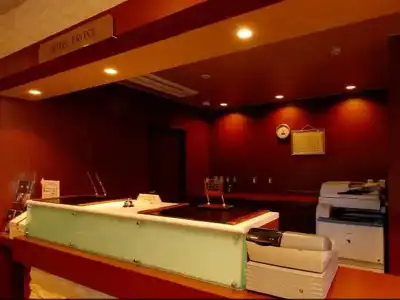 Paradis Inn Sagamihara - 20