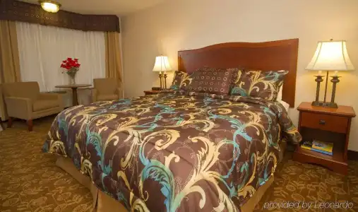 Tropicana Inn and Suites - 15