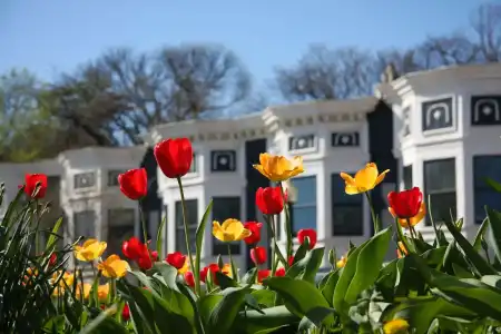 Hyatt Place Washington DC/Georgetown/West End - 20