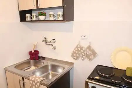 Guest House Tomanovic - 102