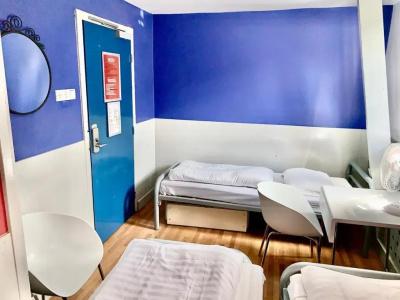 The White Tulip Hostel - 56