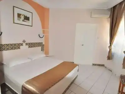 Hôtel Les Palmes d'Or - 50