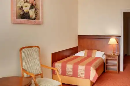 Danubius Health Spa Resort Centrální Lázne - 54