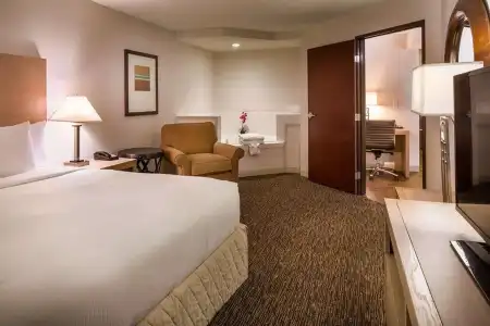 The Newberry Bend, Tapestry Collection by Hilton - 6