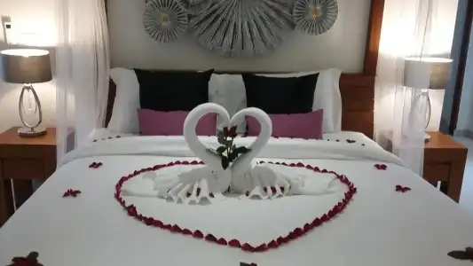 Samui Blue Orchid - 62