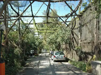 Villaggio Verde - 21