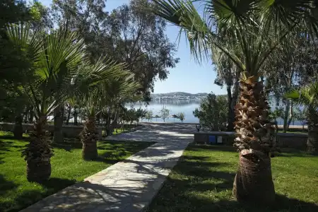 Halic Park - 4