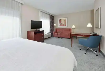 Hampton Inn & Suites Abilene I-20 - 55