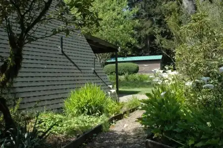 Park Motel and Cabins - 55