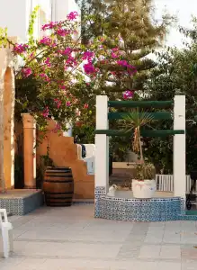 Djerba Saray - 19