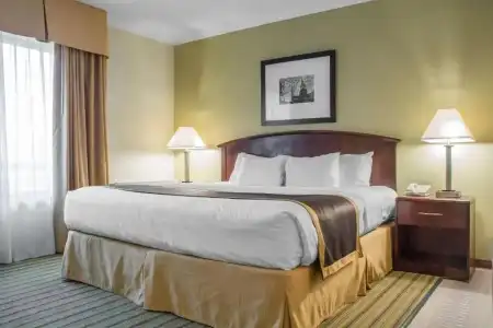Quality Inn - 41