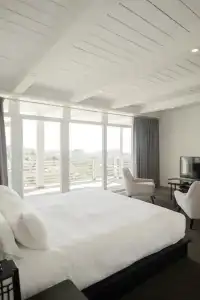 Hollywood Hills - 35