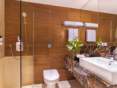 Pullman Singapore Orchard - 55