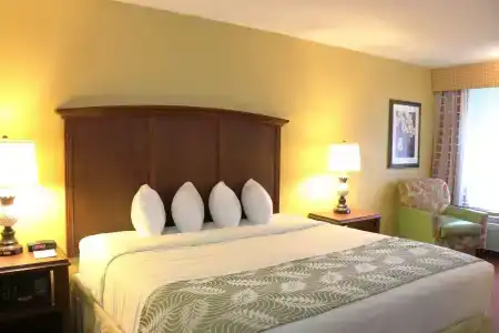 Rosen Inn International - 41