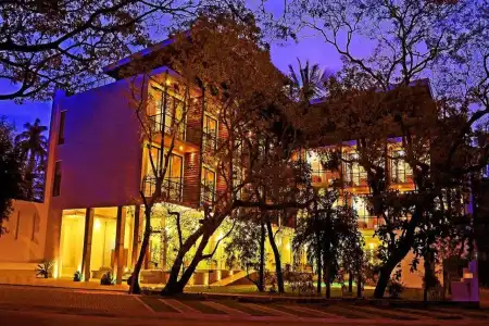 The Rain Tree - 21