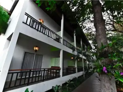 Tree House - 17
