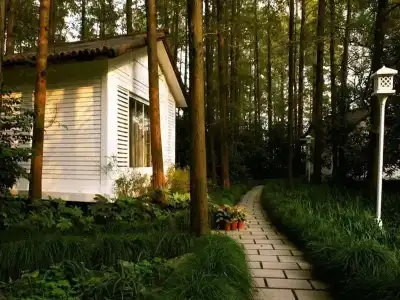 Lotus Glade - 8