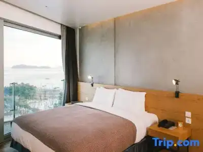 Nest, a Member of Designs - 153