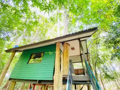 Khao Sok Tree House - 75
