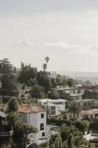 Hollywood Hills - 78