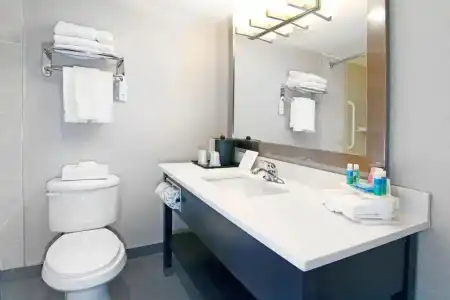 Holiday Inn Express & Suites Calgary by IHG - 64