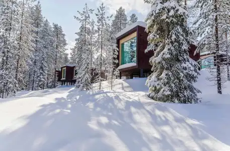Arctic TreeHouse - 44