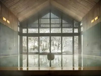 Hoshino Resorts Beb5 - 14