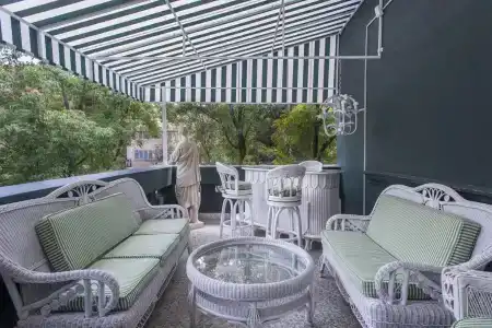 Pug Seal Polanco Anatole France - 18