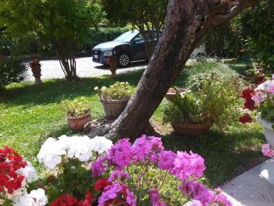 Lula Bed  Breakfast - 1