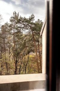 Forest - 126