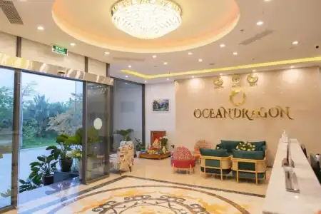 Ocean Dragon - 15