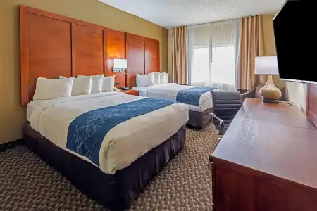 Comfort Suites University Las Cruces - 46
