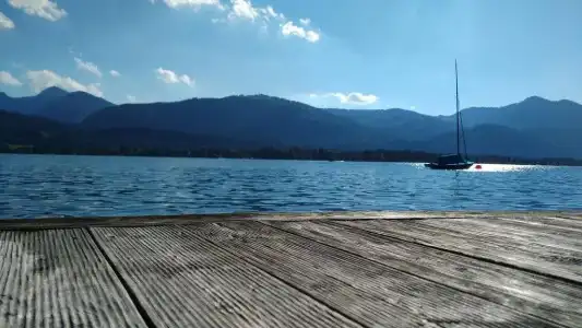 Peter - 13