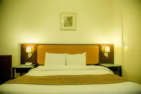 Phoenicia - 39