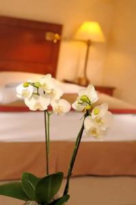 Brunfels, in the Unbound Collection by Hyatt - 39