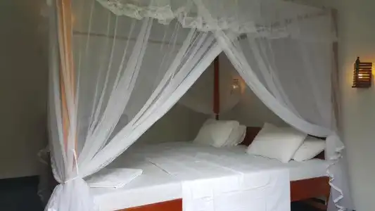 Sweden Inn Guesthouse - 43