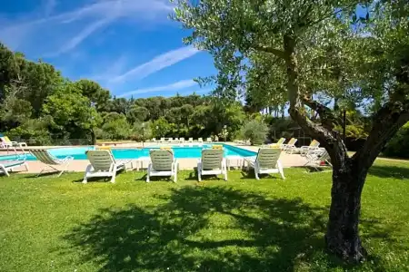 Panoramic - 72