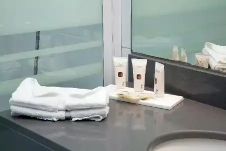 Mercure Paris Nanterre - 43
