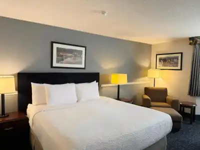 Divya Sutra Plaza and Conference Centre Calgary Airport - 1