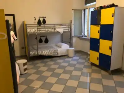 The Beehive Hostel - 29