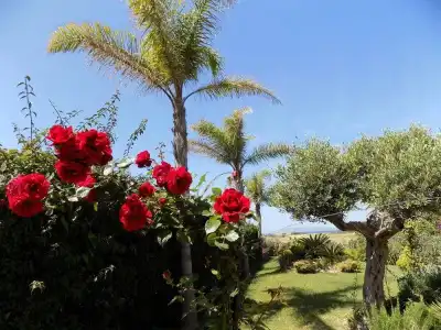 Vista Egadi B&B - 23