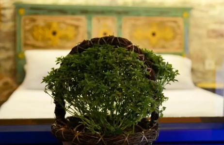 Cunda Mavi Otel - Adults Only - 21