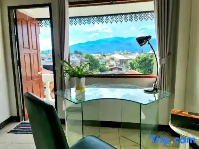 Bed and Terrace Guesthouse - 137