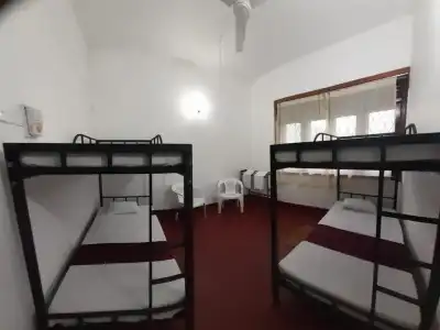 The Best Hostel - 11