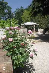 Il Querceto - B&B e Appartamenti Vacanze - 31