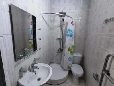 Guesthouse White Swan - 21