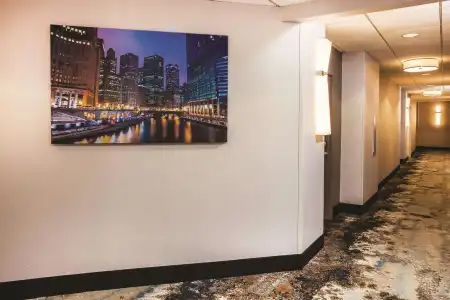 La Quinta Inn & Suites by Wyndham Chicago Downtown - 13